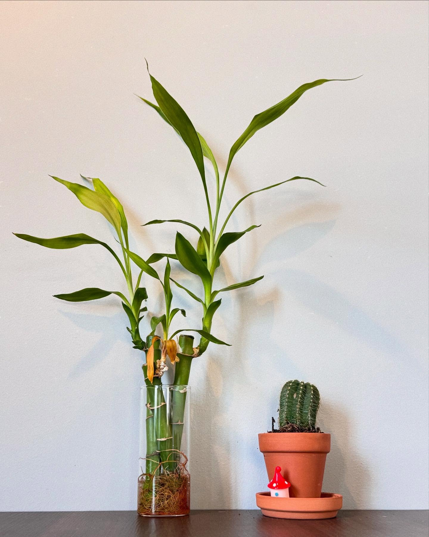 ゴールデンウィーク