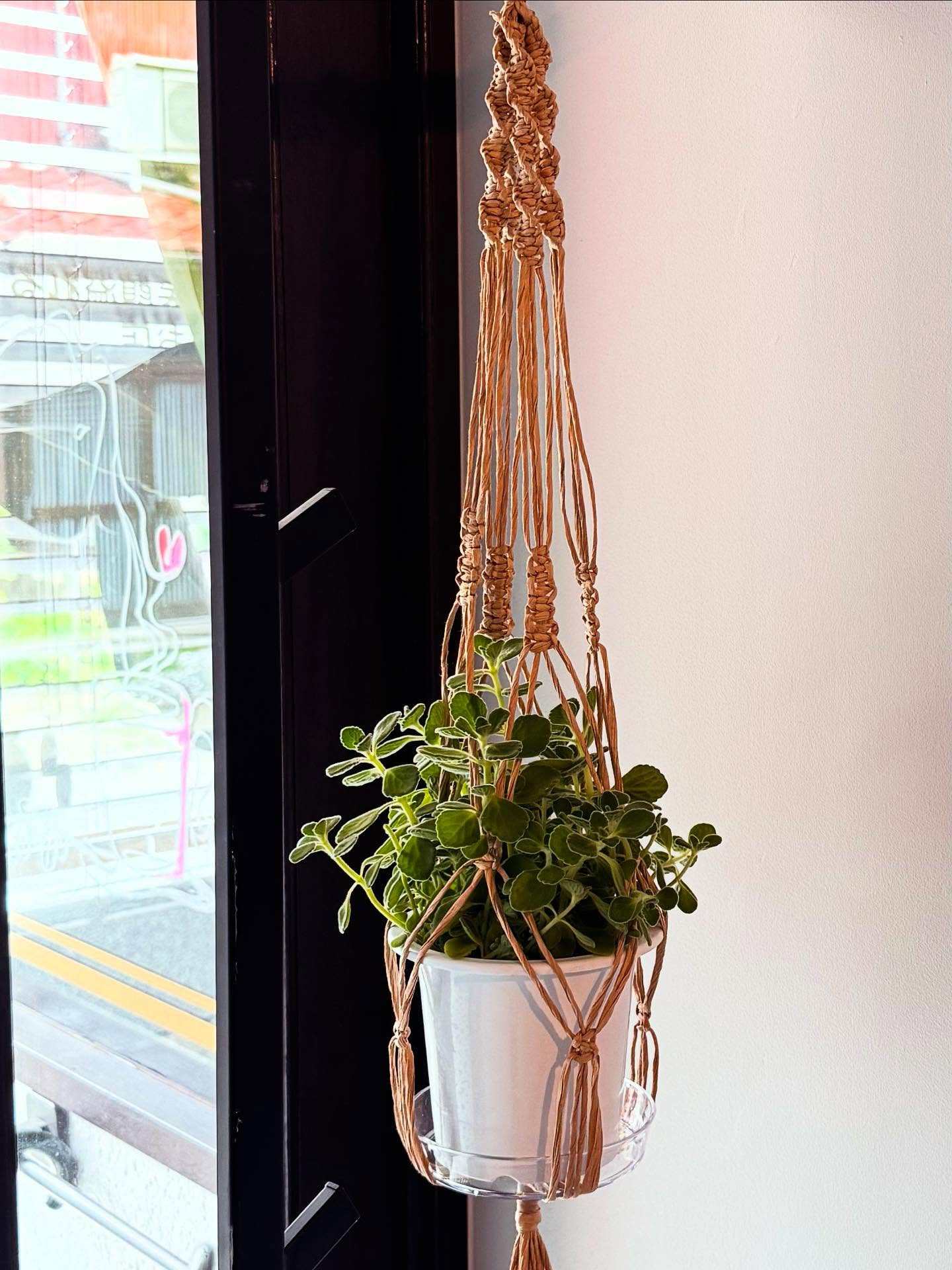 今日もぐんぐん気温が上がってきそうですね〜！