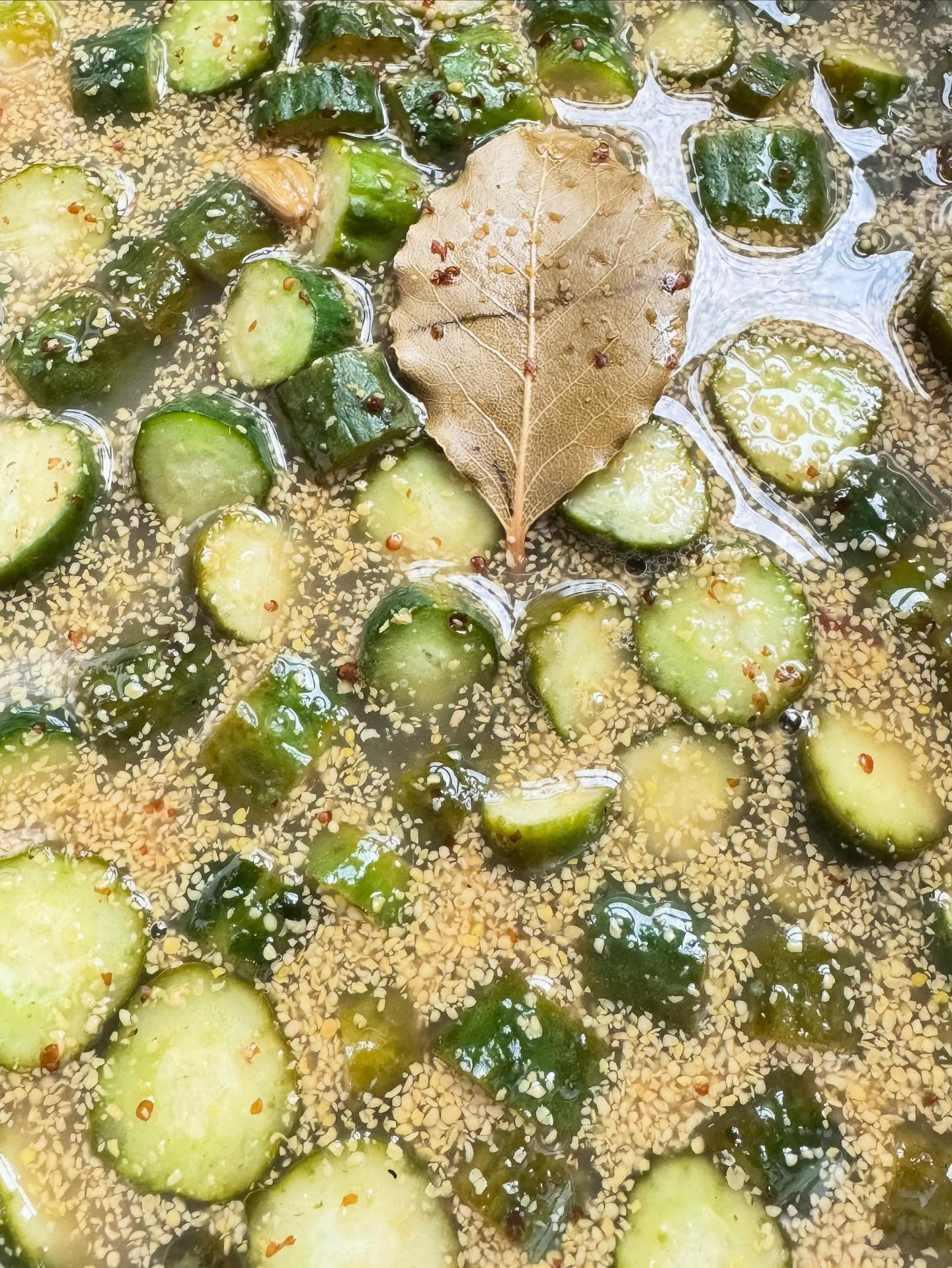 【暑すぎ注意報】