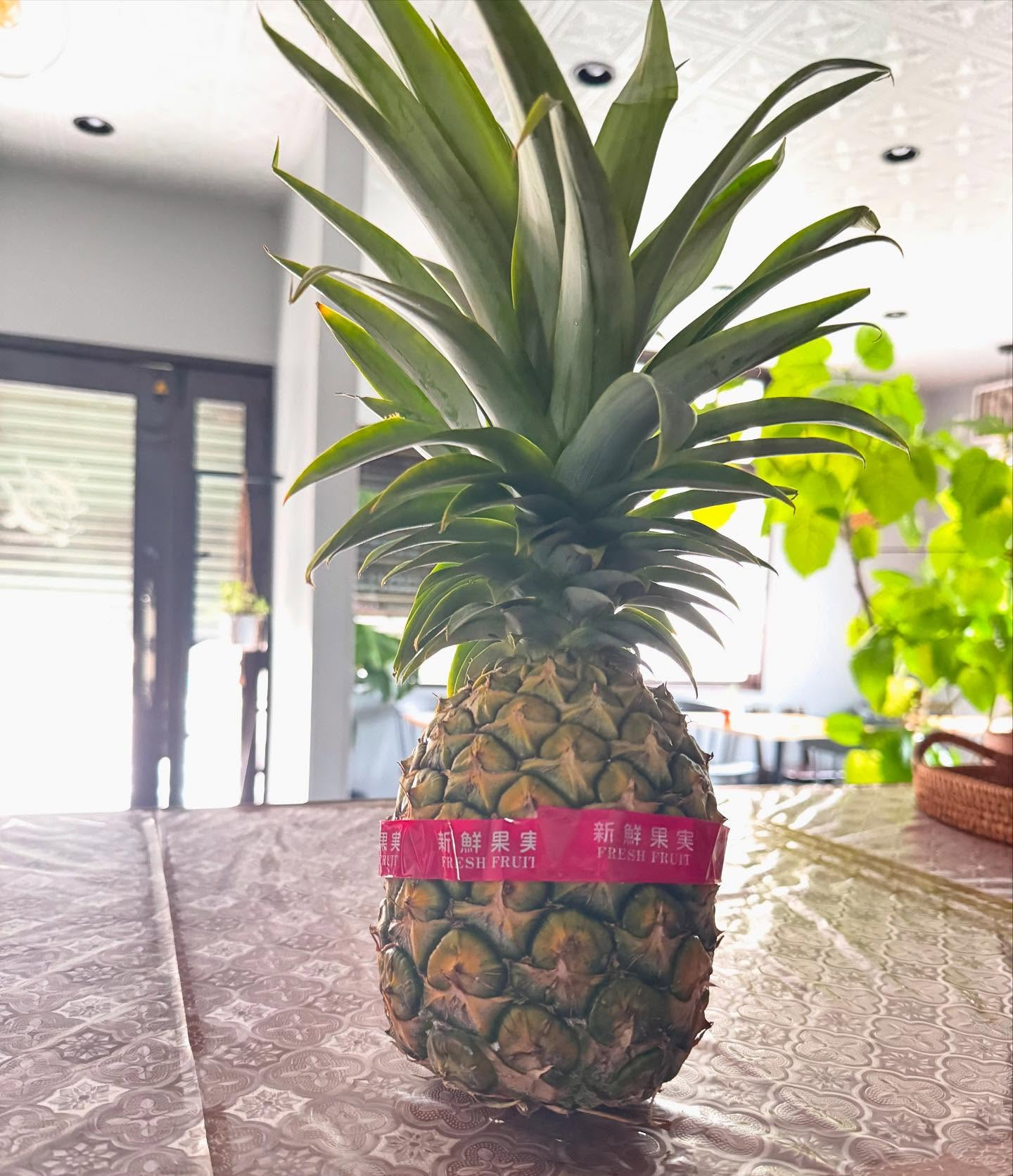 雨がぽつぽつ降ってきましたが、