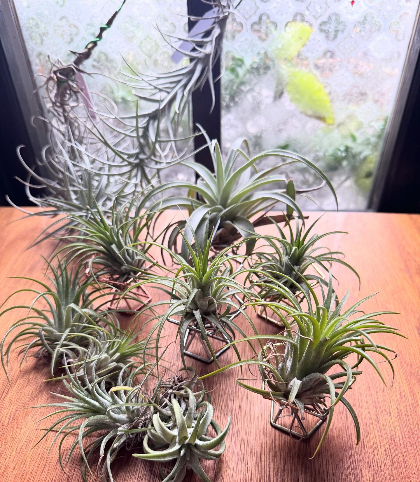 昨日は講座開催のため、